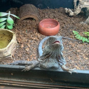 Reptile Island - Pet Stores Near Me - Stanton, California