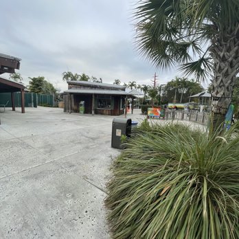 Nourish 305 - a parking lot with palm trees - Pizza Near Me - Miami, Florida Nourish 305 - a parking lot with palm trees - Pizza Near Me - Miami, Florida
