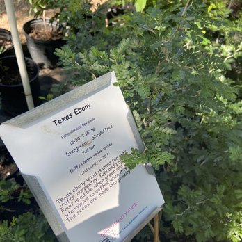 Barton Springs Nursery - Nurseries & Gardening Near Me - Austin, Texas