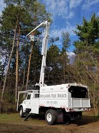 Backwoods Tree Service & Lawn Care - tree service in Manito, IL