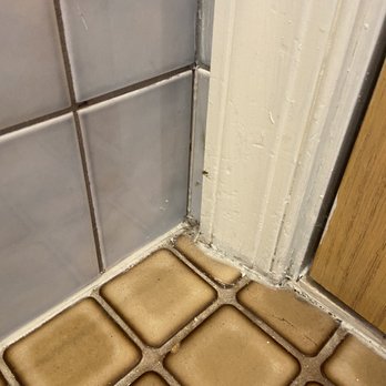 La Tourelle - Spiderwebs in corner of bathroom-also throughout the room and in corners of shower - Hotels Near Me - Ithaca, New York