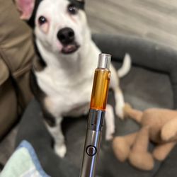 Xhale City - The Gelato 88 cartridge is so aesthetic AF that even my cute pup wants it.