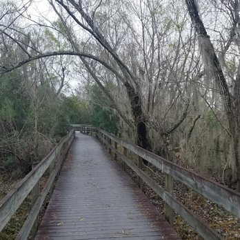 Lafitte Barataria Preserve - Lot's of boardwalk - Parks Near Me - New Orleans, Louisiana Lafitte Barataria Preserve - Lot's of boardwalk - Parks Near Me - New Orleans, Louisiana