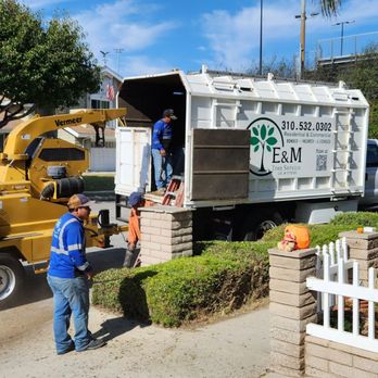 E & M Tree Service - 10/31/2025 Enrique's E&M team of 7 landscapers did an exceptionally good job on our Torrance property. - Tree Services Near Me - Gardena, California E & M Tree Service - 10/31/2025 Enrique's E&M team of 7 landscapers did an exceptionally good job on our Torrance property. - Tree Services Near Me - Gardena, California