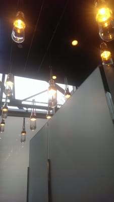 Current Fish and Oyster by null