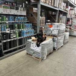 Marcum K9 Obedience