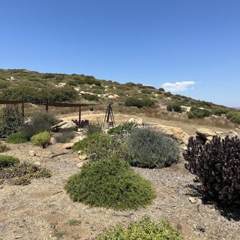 Mia Marie Vineyards - View - Wine Tasting Room Near Me - Escondido, California