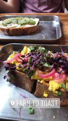 Farm To Toast by null