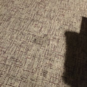 Best Western Plus Dixon Davis - More carpet stains. - Hotels Near Me - Dixon, California