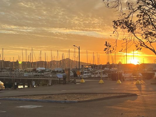 Bay Model Visitor Center by null