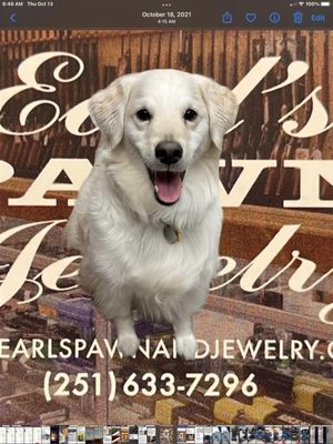 Earl's Pawn & Jewelry by null