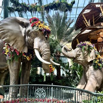 Flamingo Las Vegas - Bellagio - Hotels Near Me - Las Vegas, Nevada Flamingo Las Vegas - Bellagio - Hotels Near Me - Las Vegas, Nevada