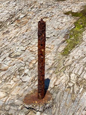 Natural Bridges State Beach by null