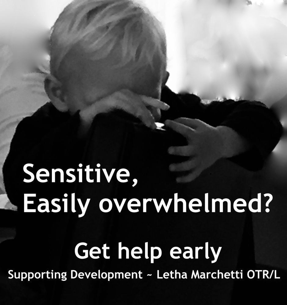 Letha Marchetti  - Occupational Therapy Home Services - child therapist in San Rafael, CA