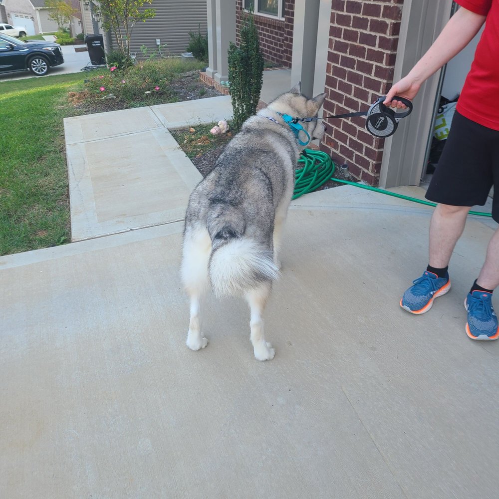 CONCORD PET GROOMING & SCHOOL Updated September 2024 16 Photos