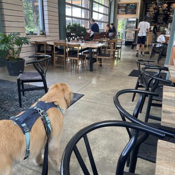 The Landing Kitchen - Coffee & Tea Near Me - Bala Cynwyd, Pennsylvania The Landing Kitchen - Coffee & Tea Near Me - Bala Cynwyd, Pennsylvania