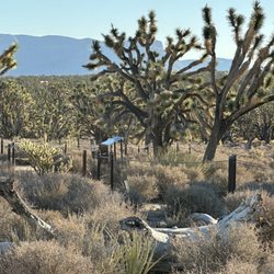 Wild West Helicopters - Scenery on your way to the Ranch.