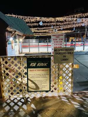 Heavenly Village Ice Rink by null