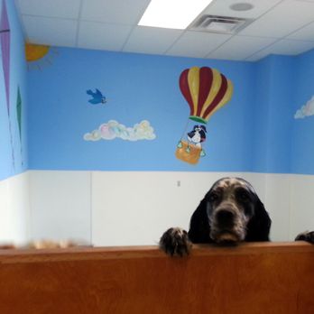 The Barking Lot - Pet Groomers Near Me - Urbandale, Iowa The Barking Lot - Pet Groomers Near Me - Urbandale, Iowa