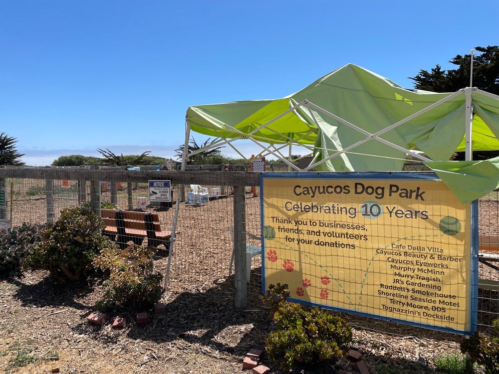 CAYUCOS DOG PARK Updated August 2024 Cayucos, California Dog