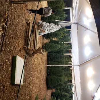 Mr Greentrees - Tree Time! - Nurseries & Gardening Near Me - West Hollywood, California Mr Greentrees - Tree Time! - Nurseries & Gardening Near Me - West Hollywood, California