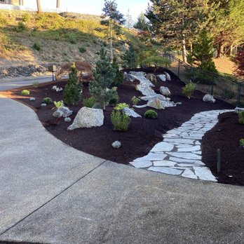 Creative Living Landscape Design - Completed project highlighting pine trees, relocation of Japanese maples, walking path, lighting. - Landscape Architects or Designers Near Me - Gig Harbor, Washington Creative Living Landscape Design - Completed project highlighting pine trees, relocation of Japanese maples, walking path, lighting. - Landscape Architects or Designers Near Me - Gig Harbor, Washington