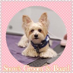 Snow's Groom & Board