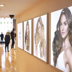 The Hair Shop