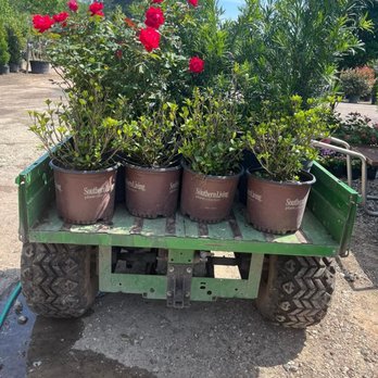 1314 Nursery - Nurseries & Gardening Near Me - Conroe, Texas 1314 Nursery - Nurseries & Gardening Near Me - Conroe, Texas