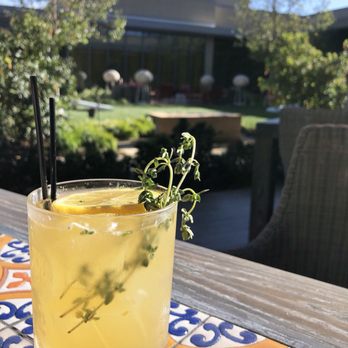 Porta Blu - That's My Jam: Vodka, apricot jam, lemon juice, simple syrup, thyme | $17 (Not balanced, very sour.) - New American Near Me - Menlo Park, California Porta Blu - That's My Jam: Vodka, apricot jam, lemon juice, simple syrup, thyme | $17 (Not balanced, very sour.) - New American Near Me - Menlo Park, California