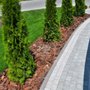 Photo of NextDoor Landscaping Pavers & Turf