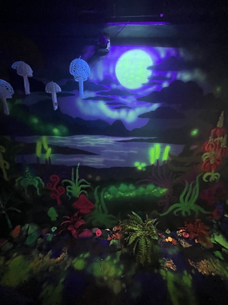 American Shaman Kava Bar + Premium CBD Logo