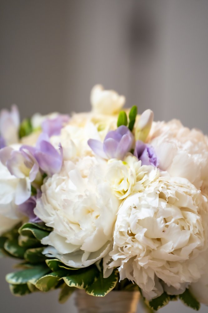 BRATTLE SQUARE FLORIST Updated September 2024 110 Photos & 215