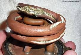 Slide of West 40th Plumbing & Heating