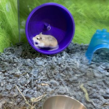 PetSmart - Workout time - Pet Stores Near Me - Palm Coast, Florida PetSmart - Workout time - Pet Stores Near Me - Palm Coast, Florida