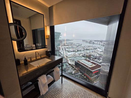 Pendry Washington DC - The Wharf by null