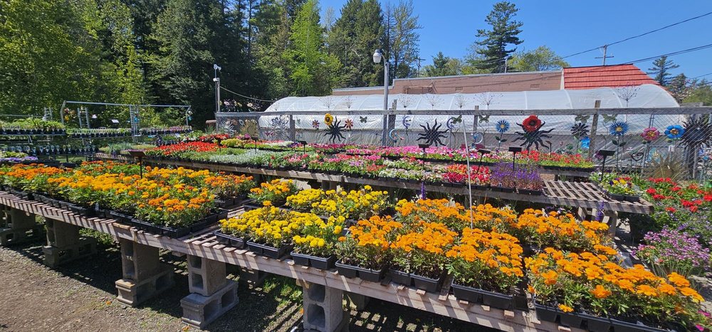 Tawas Greenhouse Logo