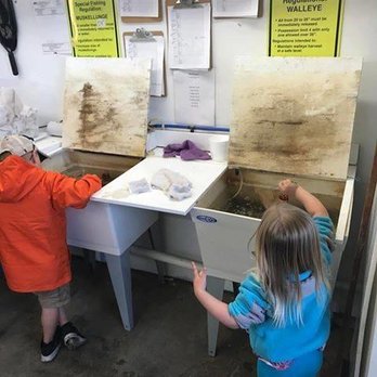 Spring Bay Resort & Guide Service - Making sure the minnows are lively! - Resorts Near Me - Cook, Minnesota Spring Bay Resort & Guide Service - Making sure the minnows are lively! - Resorts Near Me - Cook, Minnesota