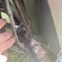 South Florida Golf Cart Rentals