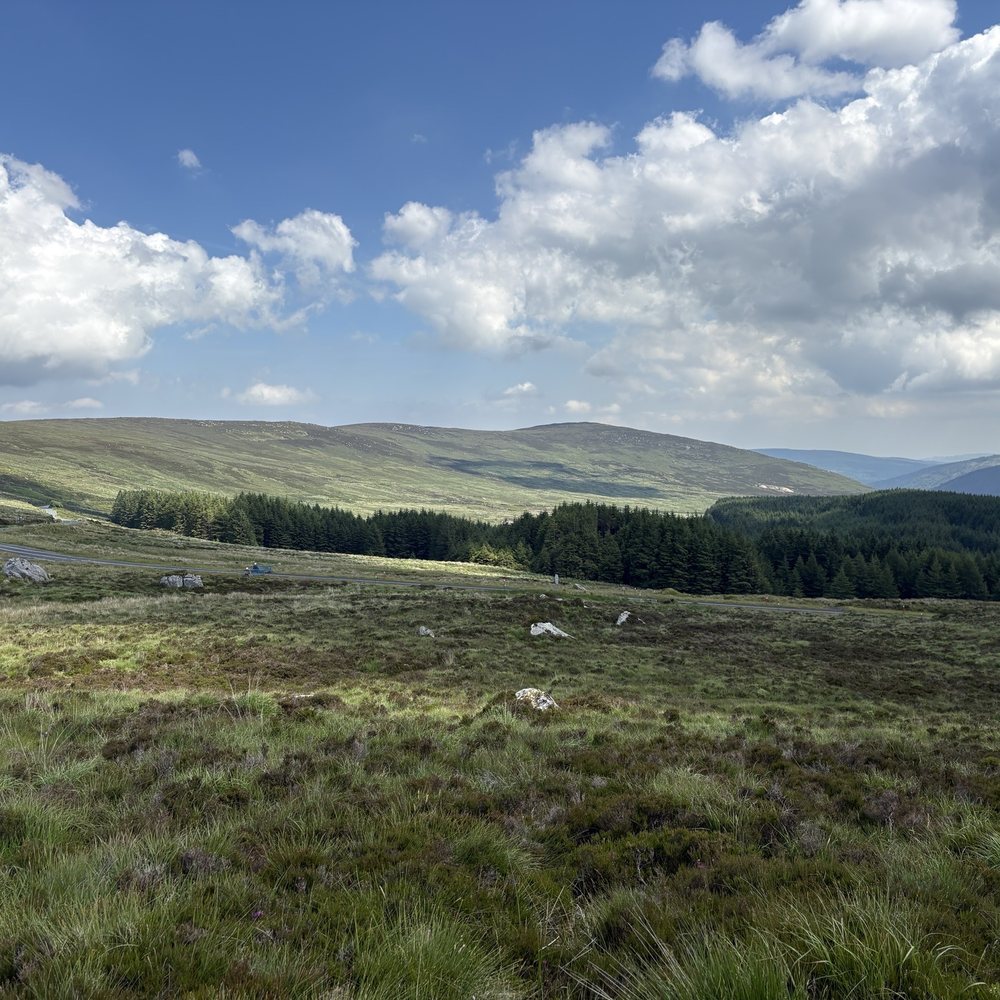 Wild Rover Tours - Tours Near Me - Dublin, D Wild Rover Tours - Tours Near Me - Dublin, D