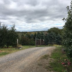 Morgan Farms - View from the orchard
