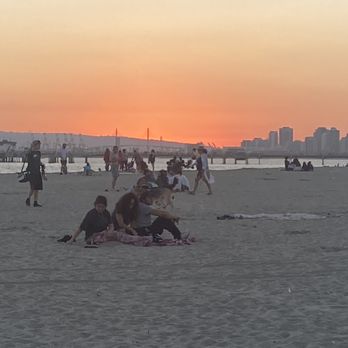 Rosie's Dog Beach - Beautiful sunset, more beautiful in person. - Dog Parks Near Me - Long Beach, California Rosie's Dog Beach - Beautiful sunset, more beautiful in person. - Dog Parks Near Me - Long Beach, California