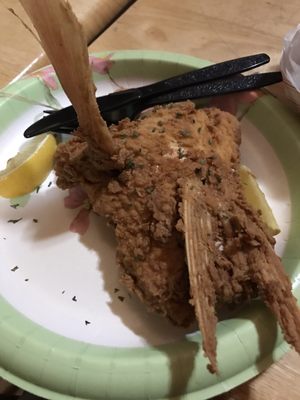 Venice Marina by null