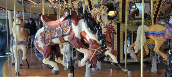 Salem's Riverfront Carousel by null