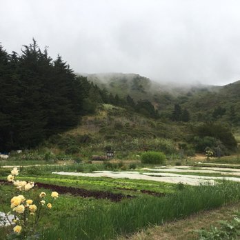 Tennessee Valley - 06/30/18-this time after Muir Beach, cut through Green Gulch farm to connect my loop - Hiking Near Me - Mill Valley, California Tennessee Valley - 06/30/18-this time after Muir Beach, cut through Green Gulch farm to connect my loop - Hiking Near Me - Mill Valley, California