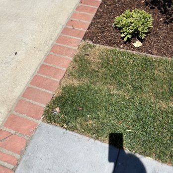 Eco Concepts - a shadow of a person on a sidewalk - Landscaping Near Me Eco Concepts - a shadow of a person on a sidewalk - Landscaping Near Me