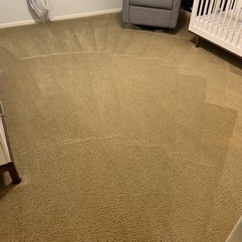 Floor Cleaner Fred - We pet watched a friend's dog who made my son's nursery a litter box. It was disgusting but looks so nice now, and smells way better. - Carpet Cleaning Near Me Floor Cleaner Fred - We pet watched a friend's dog who made my son's nursery a litter box. It was disgusting but looks so nice now, and smells way better. - Carpet Cleaning Near Me