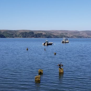 Hog Island Oyster - The View - Seafood Near Me - Marshall, California Hog Island Oyster - The View - Seafood Near Me - Marshall, California