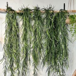 Reclaimed Warehouse - A fern wall!  You have to check it out.