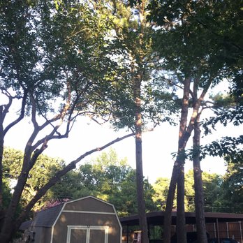 Mercer Tree Service - Tree Services Near Me - Fort Worth, Texas Mercer Tree Service - Tree Services Near Me - Fort Worth, Texas